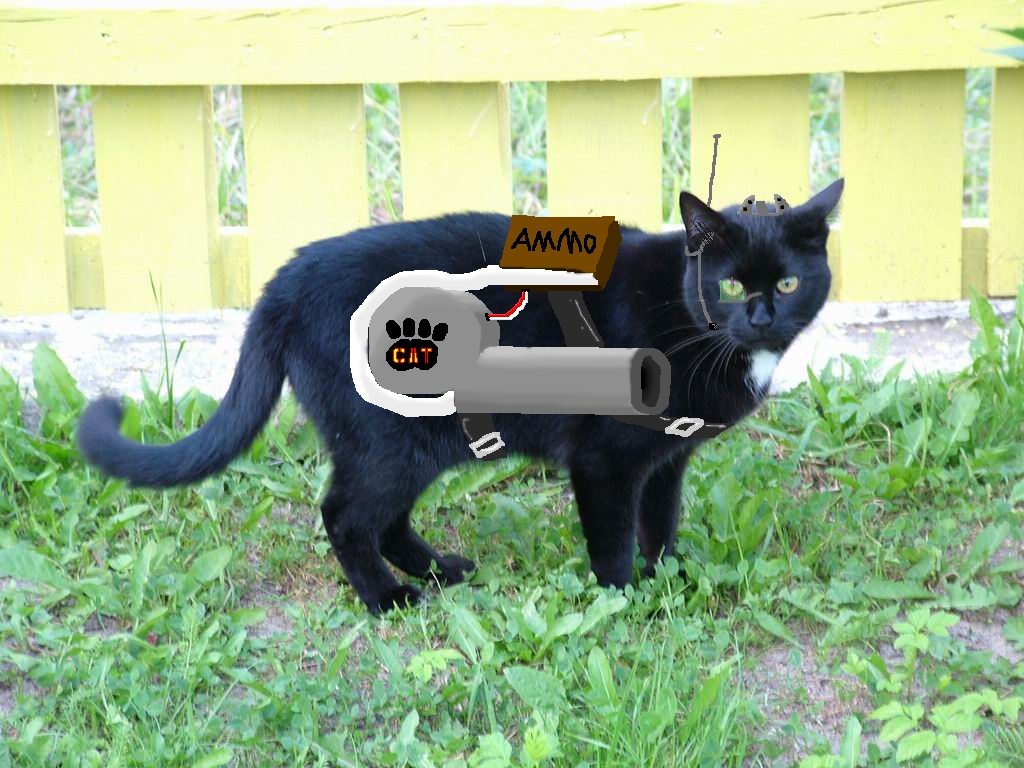 water gun for cats